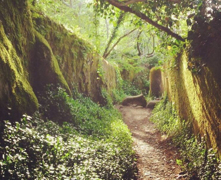 Sintra: Kingdom of Love Private Walking Tour With Historian - Experience