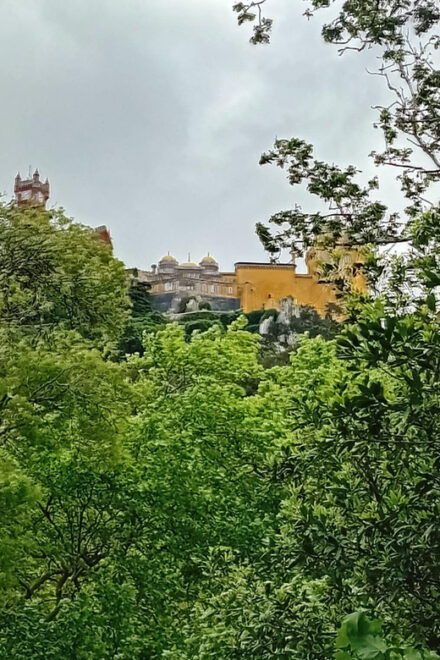 Sintra, Lisbon, Portugal: Discover Portugal With Us! - Inclusions