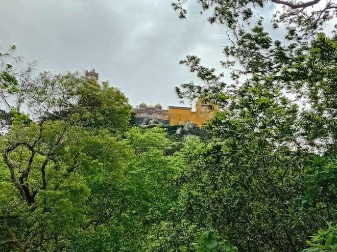 Sintra, Lisbon, Portugal: Discover Portugal With Us! - Additional Benefits