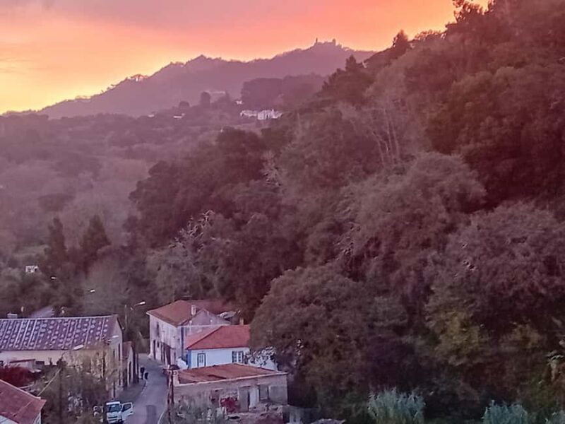Sintra Mystic Forest Journey: Guided Tour in a Convertible. - What to Expect from the Sintra Mystic Forest Journey