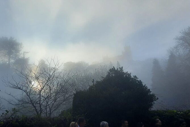 Sintra Palaces and Forest Private Tour - Reviews and Testimonials