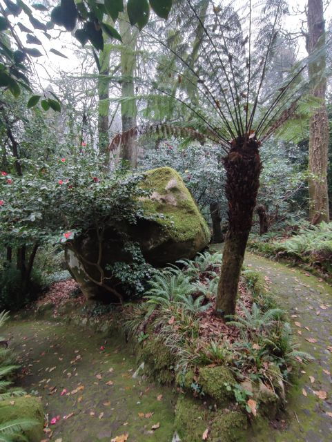 Sintra: Pena Palace and Gardens Guided Tour 4 H + Ticket - Good To Know