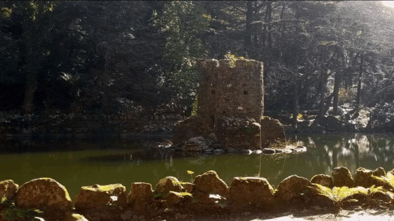Sintra: Private Palaces, Moorish Castle, and Roca Cape Tour - The Itinerary in Detail