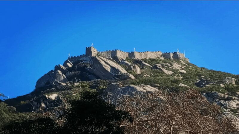 Sintra: Private Palaces, Moorish Castle, and Roca Cape Tour - The Value of $108