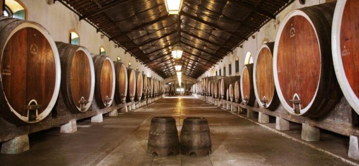 Sintra Private Wine Tour on a Mercedes Convertible - Activity Details