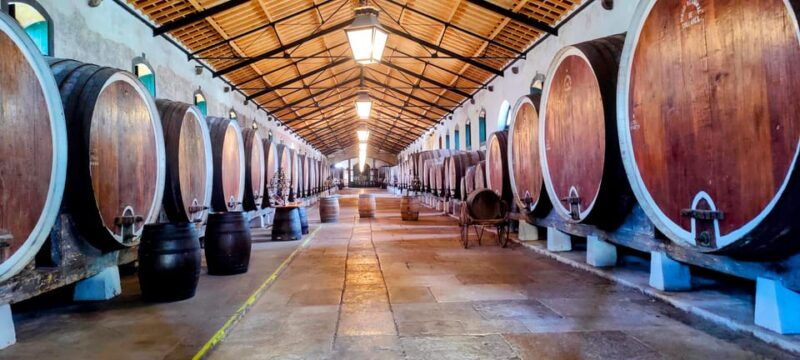 Sintra: Queluz Palace, Biester Palace, and Colares Winery - Exploring Sintra: Queluz Palace, Biester Palace, and Colares Winery