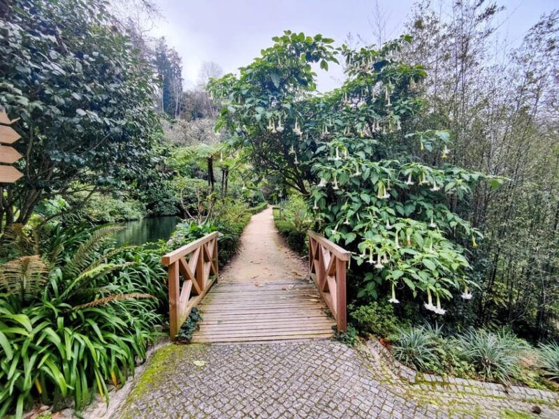 Sintra: Queluz Palace, Biester Palace, and Colares Winery - What’s Included and What’s Not