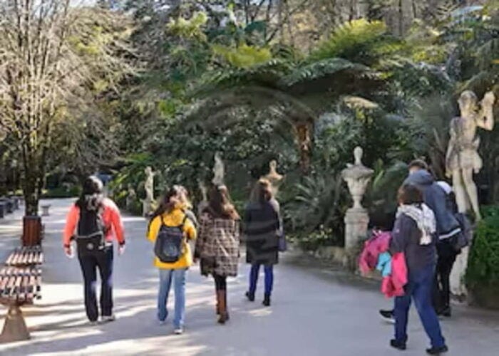 Sintra: Quinta da Regaleira Entry Ticket and Guided Tour - Authentic Insights from Past Participants