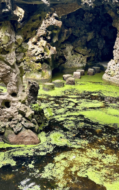 Sintra: Quinta da Regaleira Entry Tickets with Host - Inside Quinta da Regaleira: What You’ll See