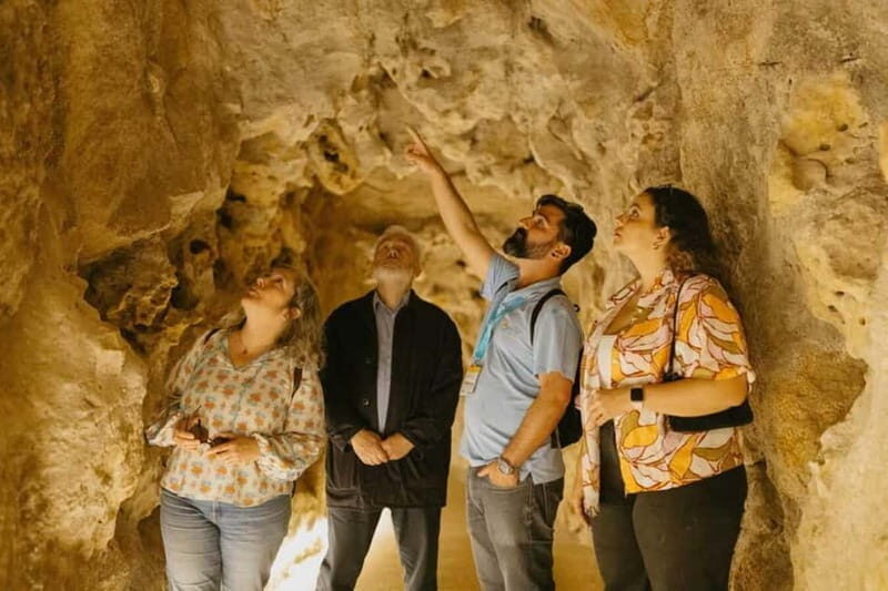 Sintra: Quinta da Regaleira Guided Tour with Entry Ticket - The Sum Up