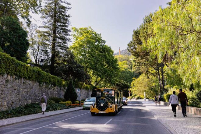 Sintra Sightseeing Train Tour - Whats Included in the Ticket
