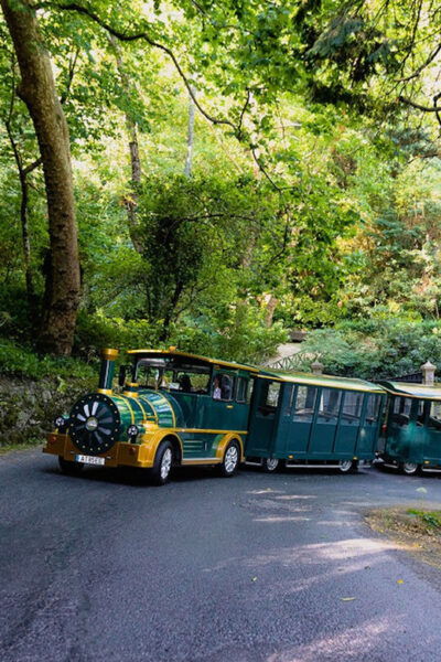 Sintra Sightseeing Train Tour - Age and Language Requirements