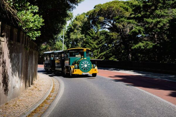 Sintra Sightseeing Train Tour - Customer Feedback and Ratings