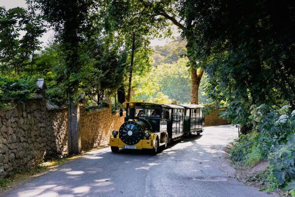 Sintra Sightseeing Train Tour - Tips for an Enjoyable Experience