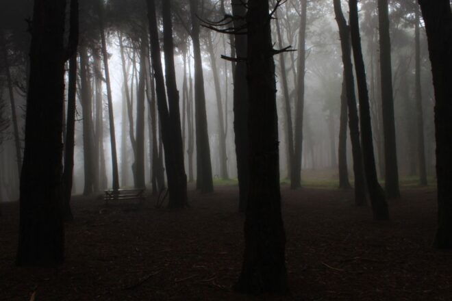 SINTRA: Sintra, The Magical Mountain of the Moon - Experience Highlights