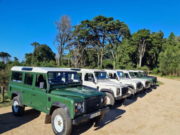 SINTRA: Sintra, The Magical Mountain of the Moon - Lunch Details