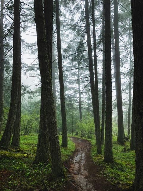 Sintra Trails Adventure: Monserrate, Capuchos & Cabo Da Roca - Suitability and Recommendations