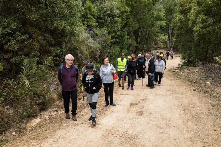 Sintra Walking Tour: Between Palaces and Mystical Nature - Good To Know