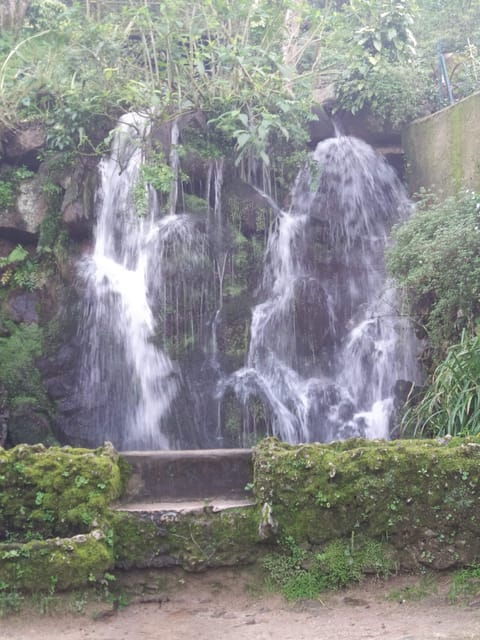 Sintra Walking Tour: History and Palaces - Inclusions and Exclusions