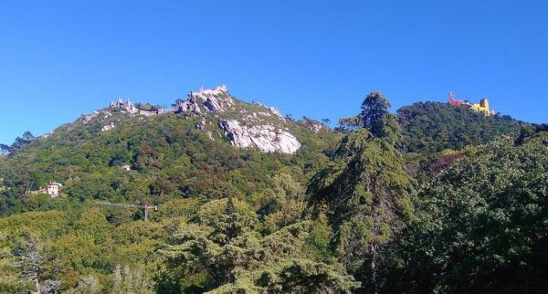 Sintra Walking Tour: History and Palaces - Meeting Point and Logistics
