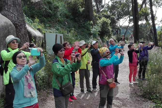 Sintra With Tickets to Monuments Private Tour From Lisbon - Common Questions