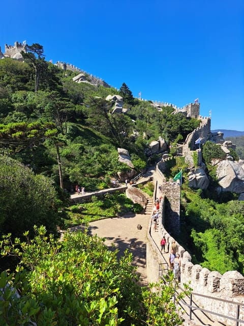 Sintra:Pena Palace,Moorish Castle & Q-Regaleira Private Tour - Authentic Experiences and Review Highlights
