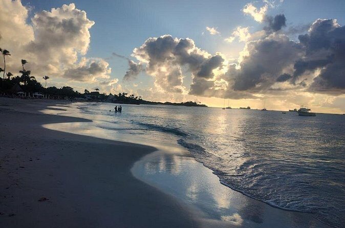 Sip and Paint by the Ocean - An In-Depth Look at Sip and Paint by the Ocean