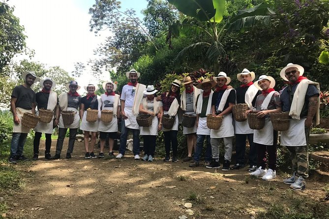 Sip and Savor on Medellín's Coffee Tour - Destination Overview