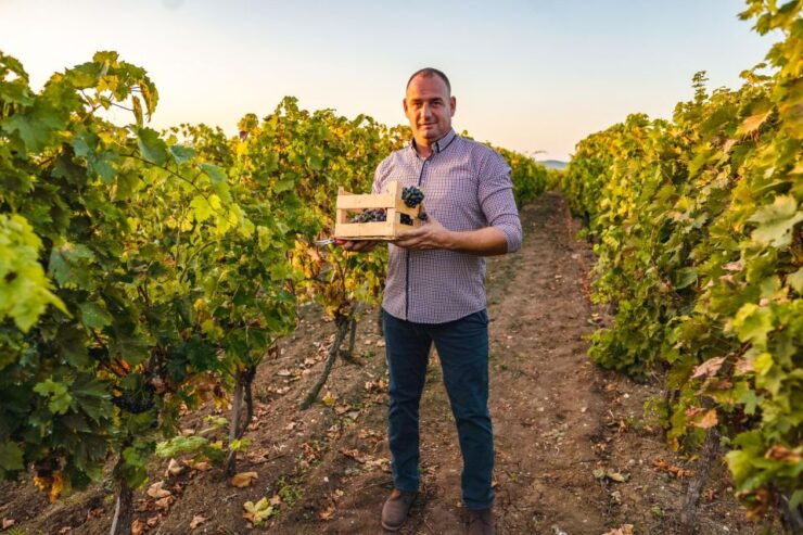 Sip and Savor: Private Yarra Valley Wine Tour From Melbourne - Booking Details