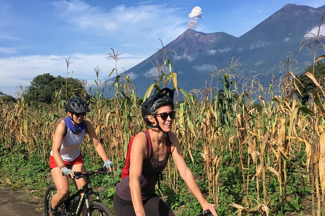 Sip N Cycle Coffee and Mountain Bike Tour - Tour Highlights
