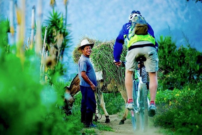 Sip N Cycle Coffee and Mountain Bike Tour - Experience Level