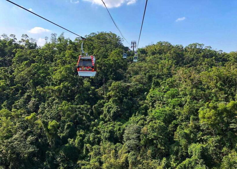 Sip & Savor:  Maokong Tea & Shenkeng Tofu Private Day Tour - Exploring the Maokong and Shenkeng Tour in Detail
