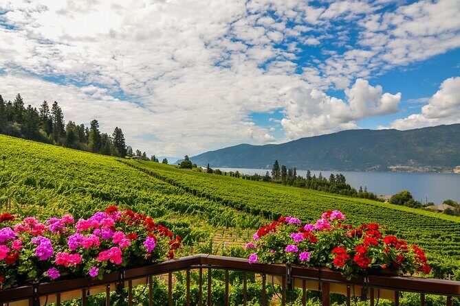 Sip & Savor: Private West Kelowna Wine Trail Escape - An in-depth look at what makes this tour stand out
