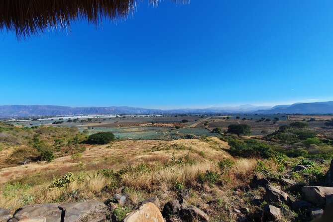 Sip & Savor Tequila Experience Distillery W/ Lunch Fr Guadalajara - Cancellation Policy