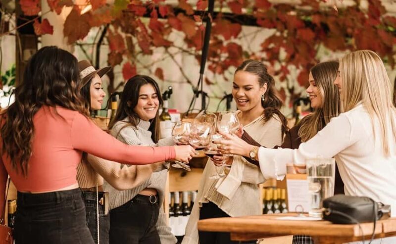 Sip & Savour Margaret River Cruise Ship Shore Excursion - Good To Know