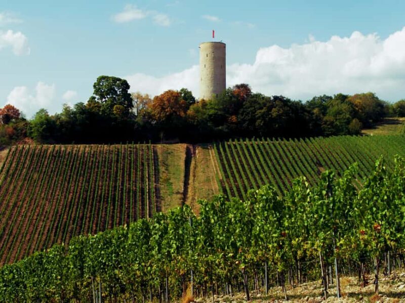 Sip Wine Along the Rhine - Grape Day out from Frankfurt - Good To Know