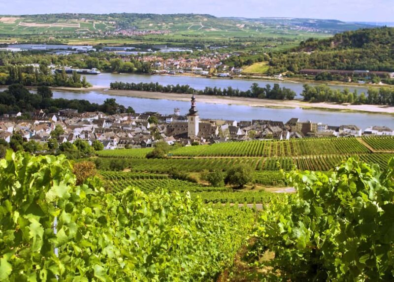 Sip Wine Along the Rhine - Grape Day out from Frankfurt - Why This Tour Stands Out