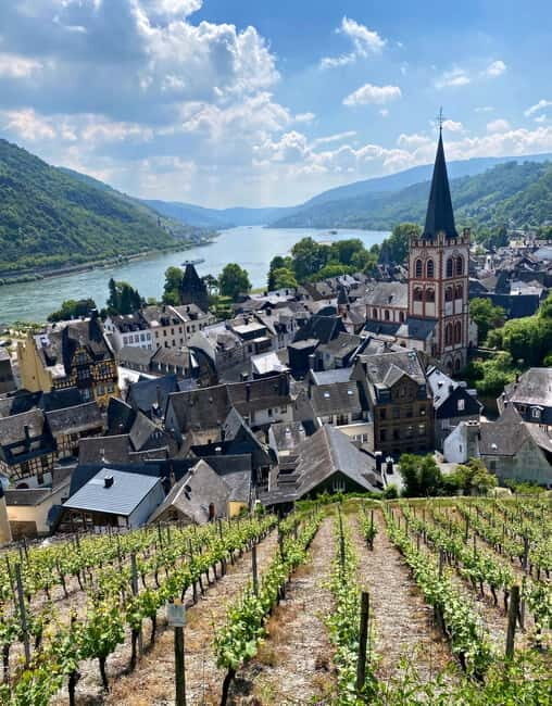 Sip Wine Along the Rhine - Grape Day out from Frankfurt - The Value of the Experience