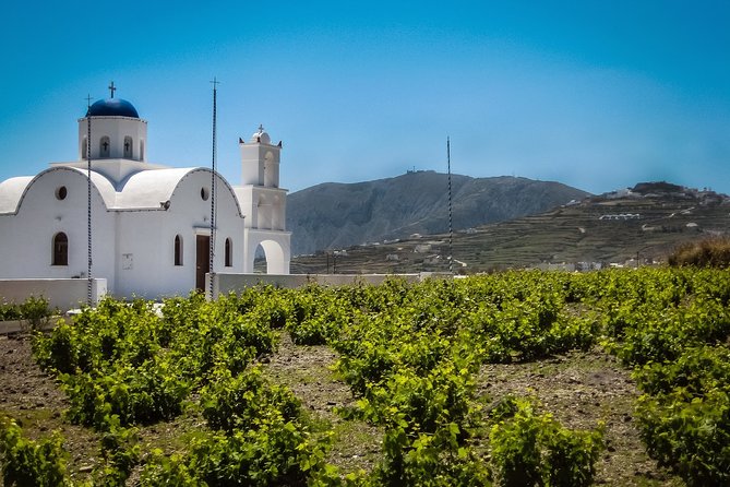 Sip Your Way Around Santorini Private Wine Tour - Tips for Booking a Santorini Wine Tour
