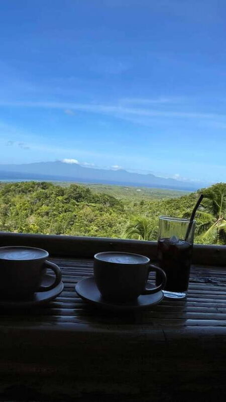 Siquijor Full day ( Private Tour ) Experience - Practical details: What to expect and how to prepare