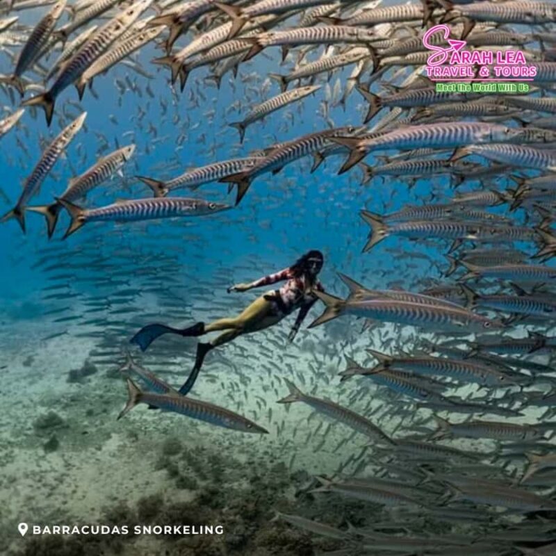 Siquijor: Island Adventure Day Trip with Snorkeling & Falls - Good To Know