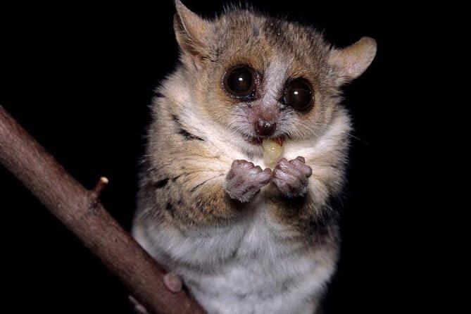 Siquijor Land Tour - FAQ