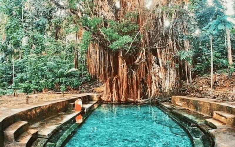 Siquijor Mountain Day Tour From Dumaguete (Private Tour) - FAQ