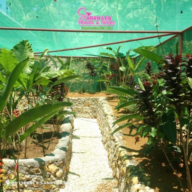 Siquijor: Mountain Highlights Adventure Tour - Transport, Timing, and Group Dynamics