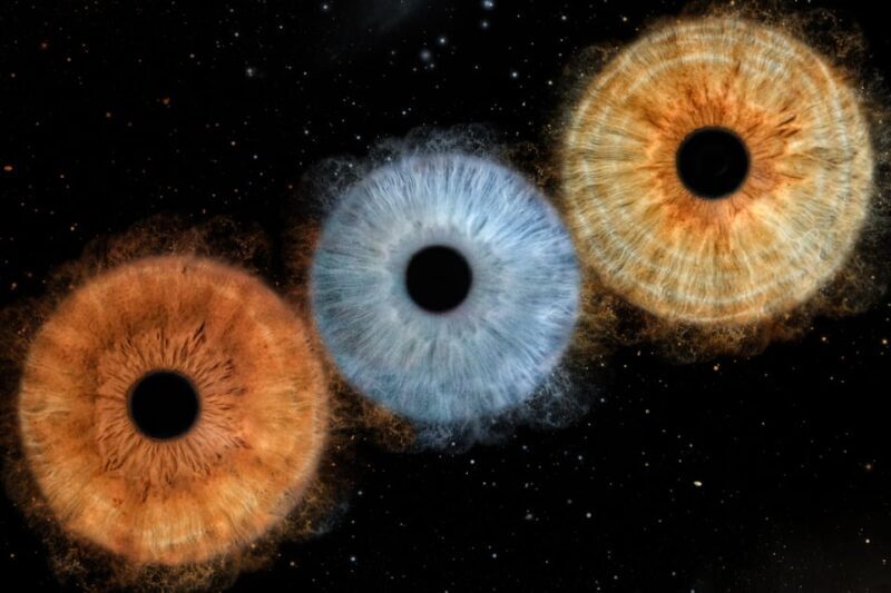 Siracusa Iris Photography Experience - Good To Know