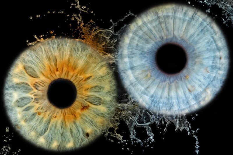 Siracusa Iris Photography Experience - An In-Depth Look at the Siracusa Iris Photography Experience