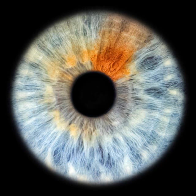 Siracusa Iris Photography Experience - The Sum Up: Is the Siracusa Iris Photography Experience Worth It?