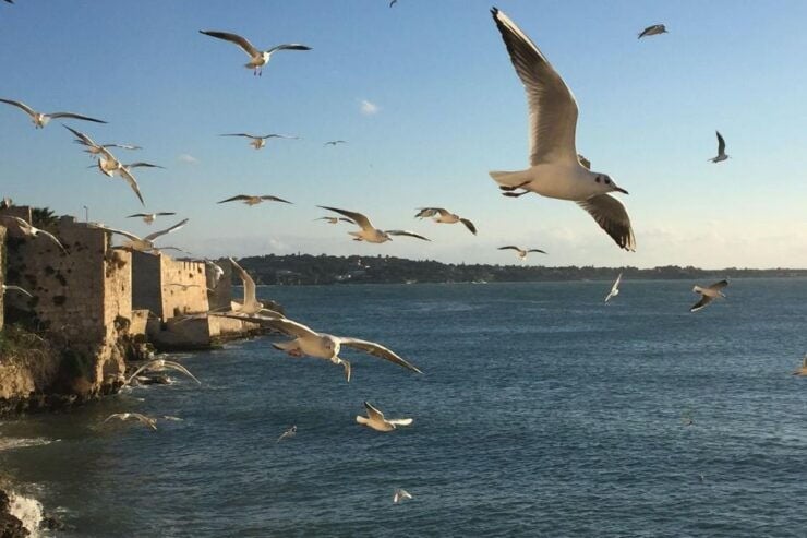 Siracusa: Ortygia Island Boat Tour With Grotto Visit - Activity Details