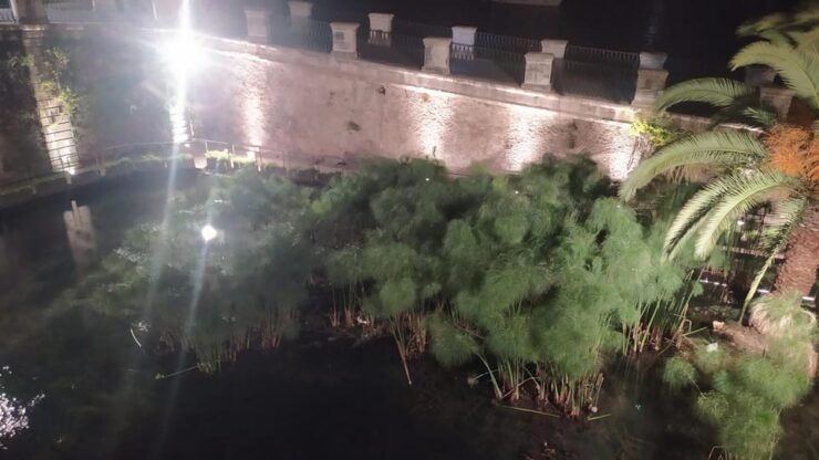 Siracusa Tour: Ortigia by Night in English - Good To Know