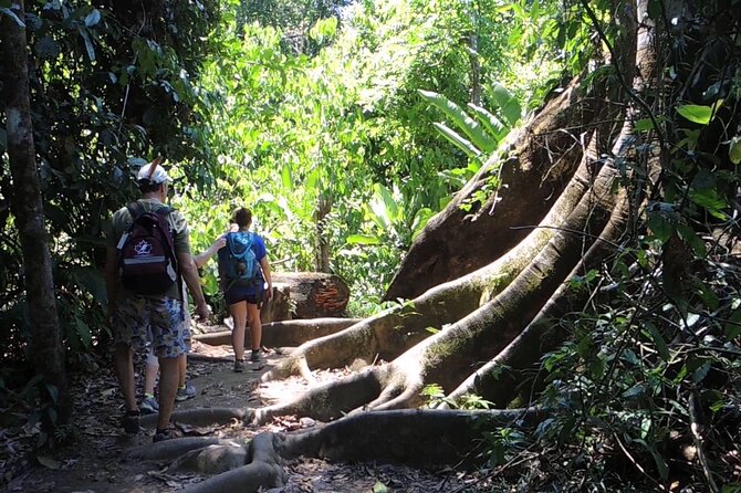 Sirena,Corcovado - 2 Nights From Puerto Jimenez - Important Policies